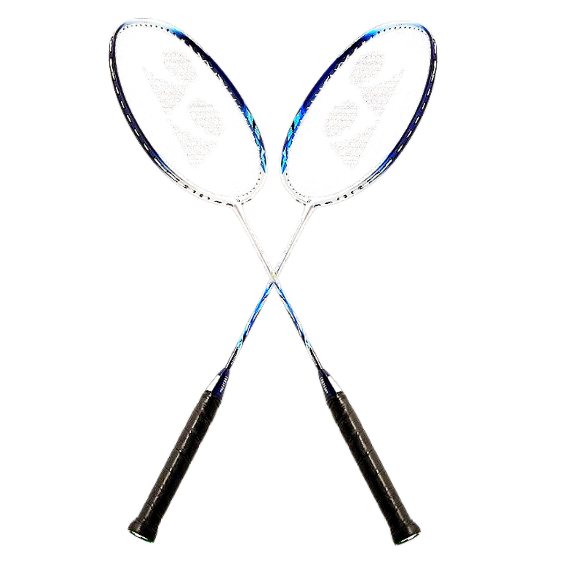 InShot_20241113_183800979